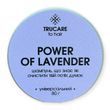 Твердий шампунь для всіх типів шкіри голови POWER OF  LAVENDER 80 g 0008 фото