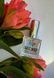 Парфуми SECRET 10 ml BOTANICAL botanical10l фото 3