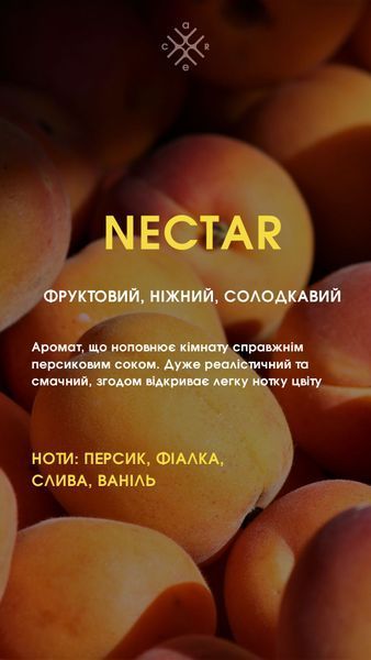 Ароматичний спрей для дому та текстилю ATMOSPHERE 100 ml nectar 355345 фото