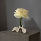 White Flower size M whiteflower фото