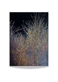 Листівка NIGHT - Oksana Metka nightpotcard фото