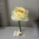 White Flower size M whiteflower фото 2