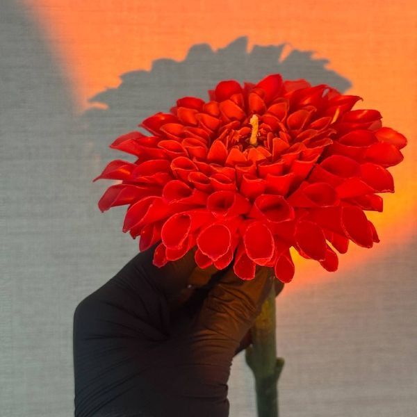 Georgine Flower size M georgineflower фото