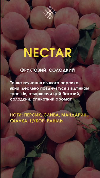 Парфуми SECRET 10 ml nectar10 фото